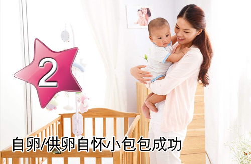 B套餐：自卵/供L自怀小包包成功套餐