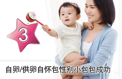C套餐：自卵/供L自怀包性别小包包成功方案