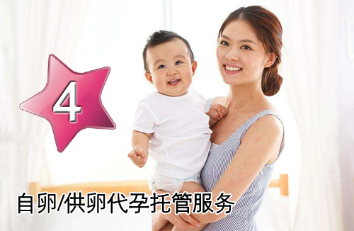 D套餐：自卵/供L助孕托管服务方案