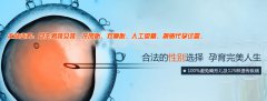 学会保养卵巢与卵子